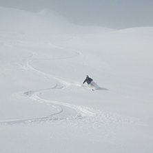 &Aring;res baksida en bra dag.. Photo: Joakim Holmberg. Rider: Lars-Erik R&auml;nnar.