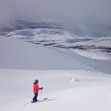 Micke i Tv&auml;r&aring;valvet, 3:e maj 2015. Rider: Mikael Puffert.