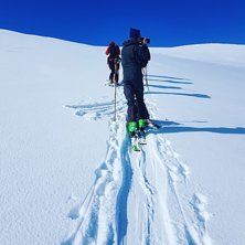 Risfj&auml;llet.