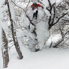 K&ouml;ttar tr&auml;d i Niseko!. Photo: Johan Almroth. Rider: Johan Sundstr&ouml;m.