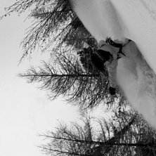 Rider: Jerry Bengtsson.