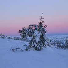 S&aring; h&auml;r ser det ut utanf&ouml;r kommersen i S&auml;len.. Photo: Papparazzi P-O.