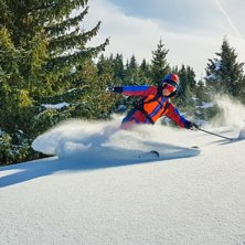 Sp&aring;ra nysn&ouml; mellan tr&auml;dstammar!.