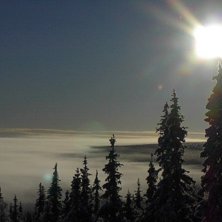 uppe p&aring; fj&auml;llet en h&auml;rlig morgon. . Photo: Anders L&ouml;nn.