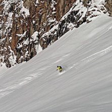 Photo: Ebba Sw&auml;rd. Rider: Olle Sw&auml;rd.