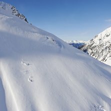 Offpist&aring;kning i Pr&auml;ttigau (omr&aring;de runt Klosters.