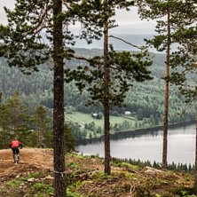 Photo: Tomas Almbo. Rider: Anna Karlsson.