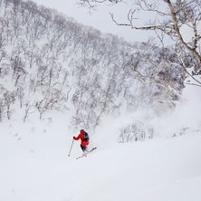 Tr&auml;dflyg i Niseko. Photo: Edwin Ljungstrand. Rider: Andreas Ojam&auml;e.