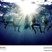 Photo: Morgan Maassen. Rider: Jake Marshall, Taylor Clark, Frankie Harrer, Colt Ward, Thelen Whorrell, Nolan Rapoza, Dryden Brown.