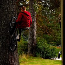 Henke h&ouml;gt uppe p&aring; tr&auml;det!. Photo: Simon Lindberg. Rider: Henrik Westlund.