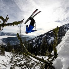 Photo: Johan Svensk. Rider: Andreas Ojam&auml;e.