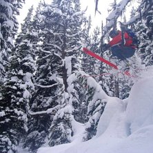 Photo: Johan Dar&eacute;n. Rider: Anders Lindgren.