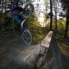 Photo: hugo ljungquist. Rider: tobias looft.