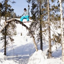 Photo: Andreas Timf&auml;lt. Rider: Nils Ardvisson.