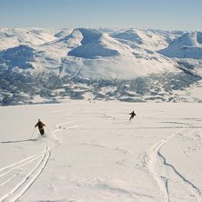 H&ouml;gt upp p&aring; berget hittade vi en or&ouml;rd, homogen. Photo: -. Rider: Michael Spendel.