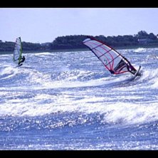 Photo: Magnus Svensson. Rider: ????.