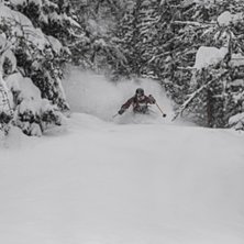 Photo: Peter Vahlfridsson. Rider: Nicolai Perdrup.