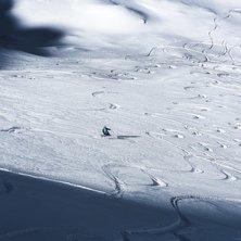 Perrin &auml;r en d&aring;ldis men &auml;nd&aring; v&auml;lk&auml;nd. Trotts. Photo: Axel Adolfsson.