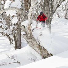 Photo: Olof Molin. Rider: Andreas Ojam&auml;e.