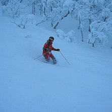 En r&ouml;d PJ under bl&aring;a timmen i Kittefj&auml;ll.. Photo: Janne Storf&auml;lt. Rider: Peter (PJ) Johansson.