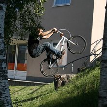 abubaca p&aring; en stubbe . Photo: alex sverin. Rider: simon r&ouml;nnestrand.