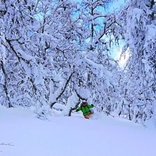 Puder i skog utanf&ouml;r Sogn skisenter!.