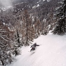 Christoffer Granbom p&aring; v&auml;g ned i skogen i Bruson. Photo: Axel Adolfsson.