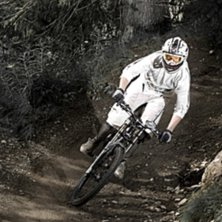N&aring;gon k&ouml;ttar.. Photo: Simon Berggren. Rider: ????.