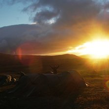 Fj&auml;llen &auml;r inte fy skam p&aring; sensommaren heller... Photo: Axel H&auml;llstr&ouml;m.