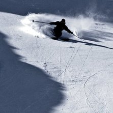 Rider: Timmy Sepp.