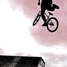 En av Uppsalas topp&aring;kare. K&ouml;rde riktigt bra i di. Photo: Wolf H&ouml;rner. Rider: Martin S&ouml;derstr&ouml;m.