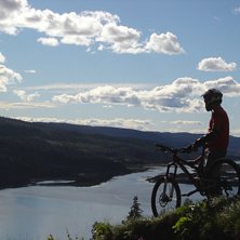 Photo: Per Jonsson. Rider: M&aring;rten St&aring;l Sj&ouml;berg.