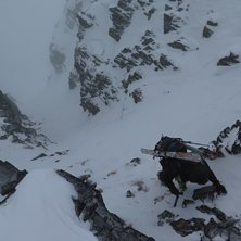 Axel p&aring; tunt sn&ouml;t&auml;cke. Photo: tryggve tir&eacute;n.