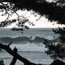 Photo: Johan Isaksson.