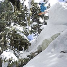 Mycket trevlig dag i skogen, som vanligt i whistle. Photo: Per Nyberg. Rider: Erik Rasmusson.