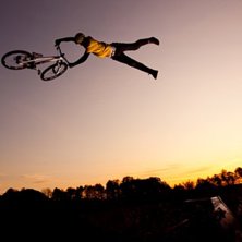 Galen superwhip.. Photo: Simon Berggren. Rider: John Alm H&ouml;gman.