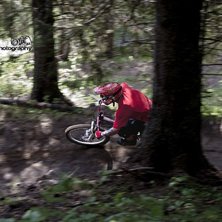 Forest. Photo: Robin Todor. Rider: Tobben Johansson.