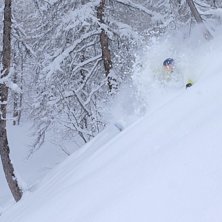 Photo: Gustav Holmer. Rider: Jerry Bengtsson.