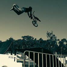 Photo: Mikael H&ouml;glund. Rider: ok&auml;nd.