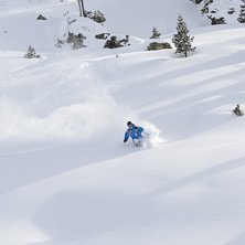 Photo: Joel Westlund. Rider: Andreas Ojam&auml;e.