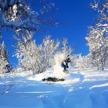 Premi&auml;r&aring;kning i Vemdalen. Rider: Alfred Bols&ouml;y.
