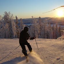 S&auml;songens f&ouml;rsta dag. Fint ljus p&aring; eftermiddage. Photo: Bj&ouml;rn Nilsson. Rider: Jonas Muntlin.