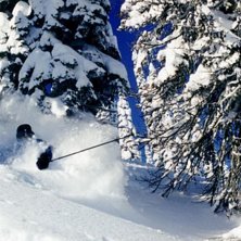 Efter 9!! dagar med sn&ouml; tittade solen fram.. Photo: Cecilia Borestr&ouml;m. Rider: Mattias Johansson.
