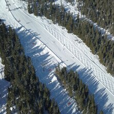 Dr&ouml;narbild med skogen till v&auml;nster. Photo: skiBran&auml;s.