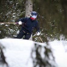 Granskogen &auml;r gallrad i R&aring;g&aring;ngsr&auml;nnan, s&aring; det. Photo: Petter Elfsberg.