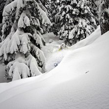 Foto: Rikard Landrin. Photo: Rikard Landrin.