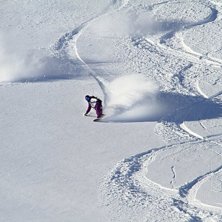 Puder!. Rider: H&aring;kan Reinholdson.
