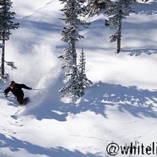 Photo: Birger &Oslash;ren Holo. Rider: Henning Opstad.
