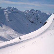 Maroikopf-Langen. Photo: Andreas Bj&ouml;rhn. Rider: Niklas Vogel.