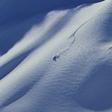 Photo: Johanna Carlsson. Rider: Aaron McGovern.